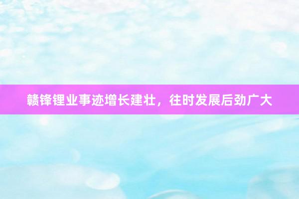 赣锋锂业事迹增长建壮，往时发展后劲广大